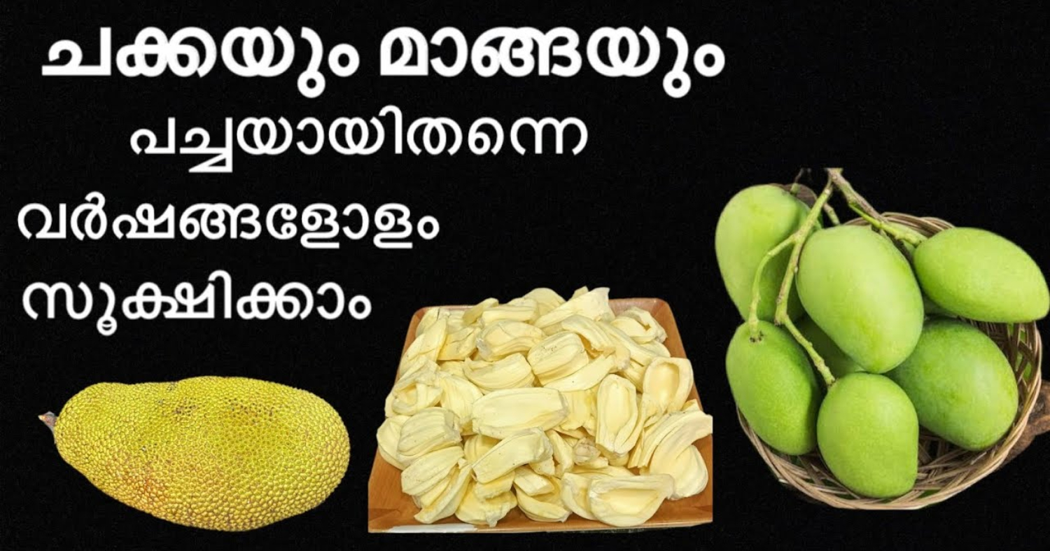 Store Jack Fruit And Mango For Long