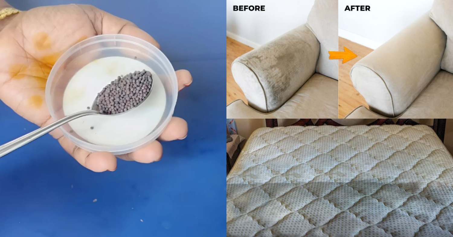 Bed And Sofa Cleaning Easy Tip