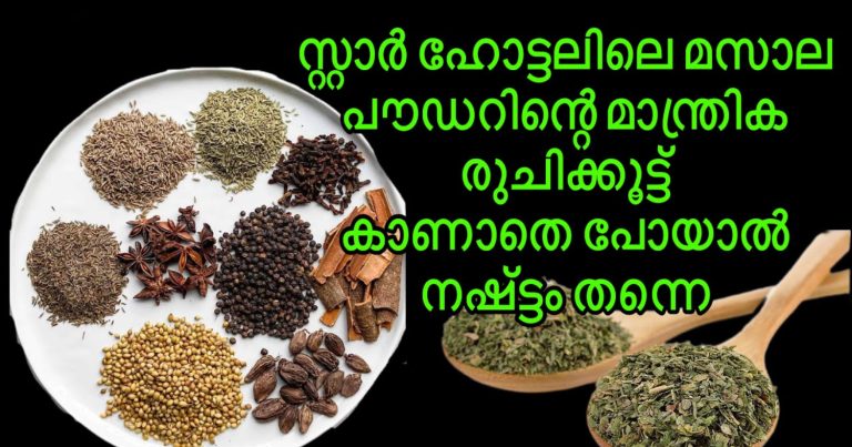 Secret Of Restaurant Style Curry Masala Powder