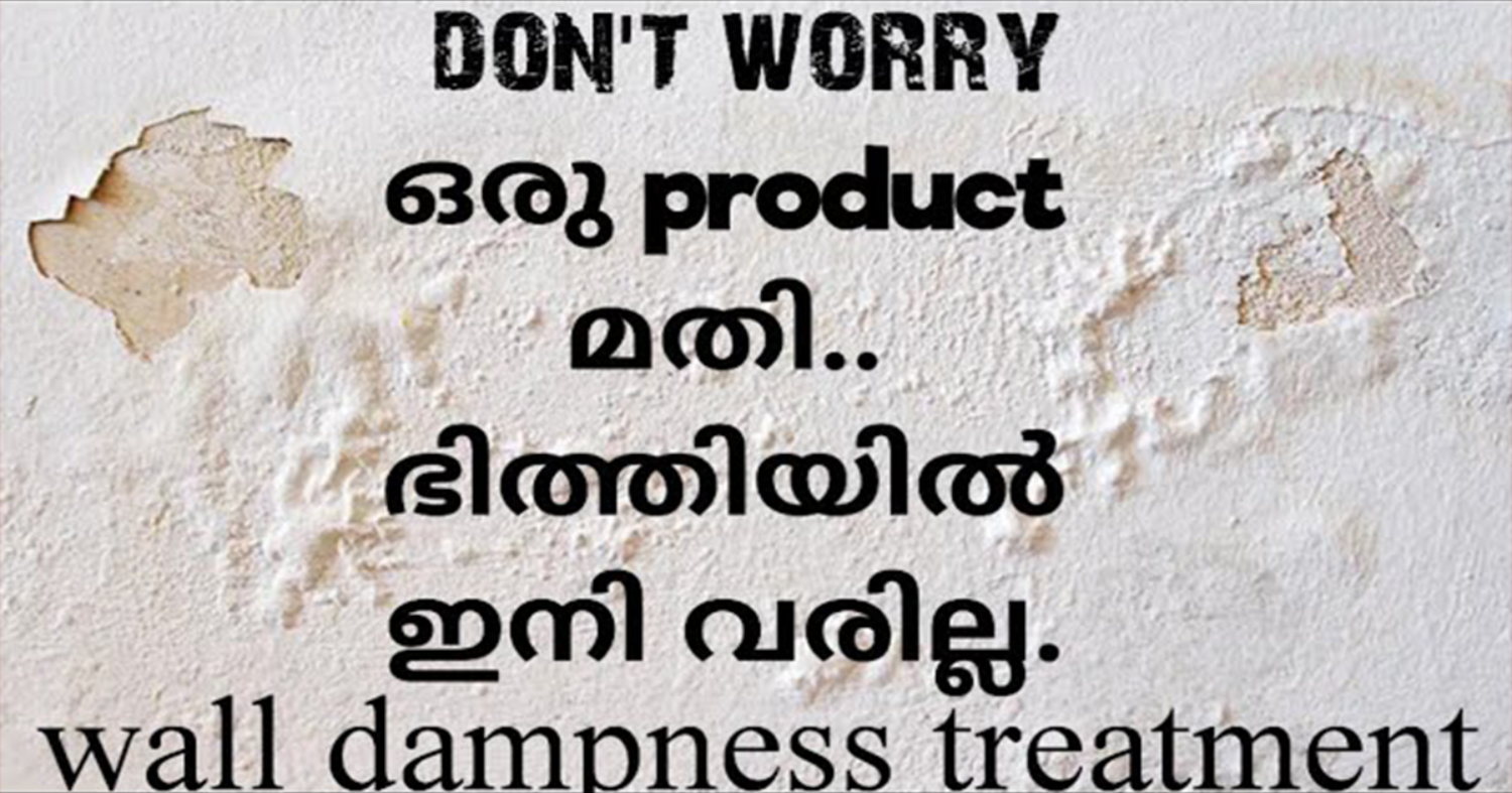 Wall Dampness Treatment Sollution