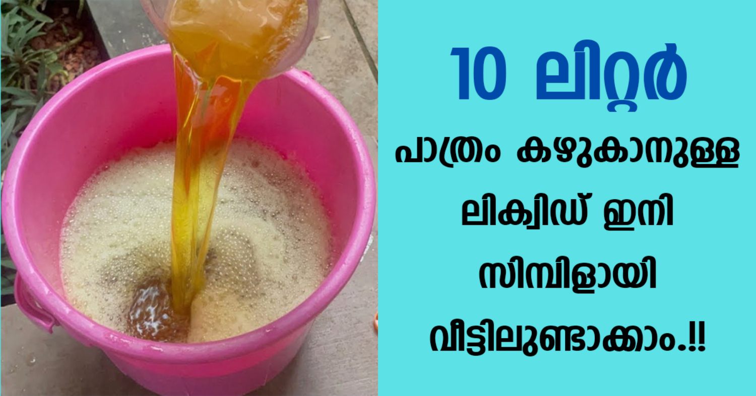 How To Make Dish Wash Liquid At Home Easy Tip