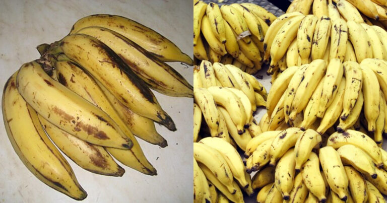 Health Benefits Of Banana