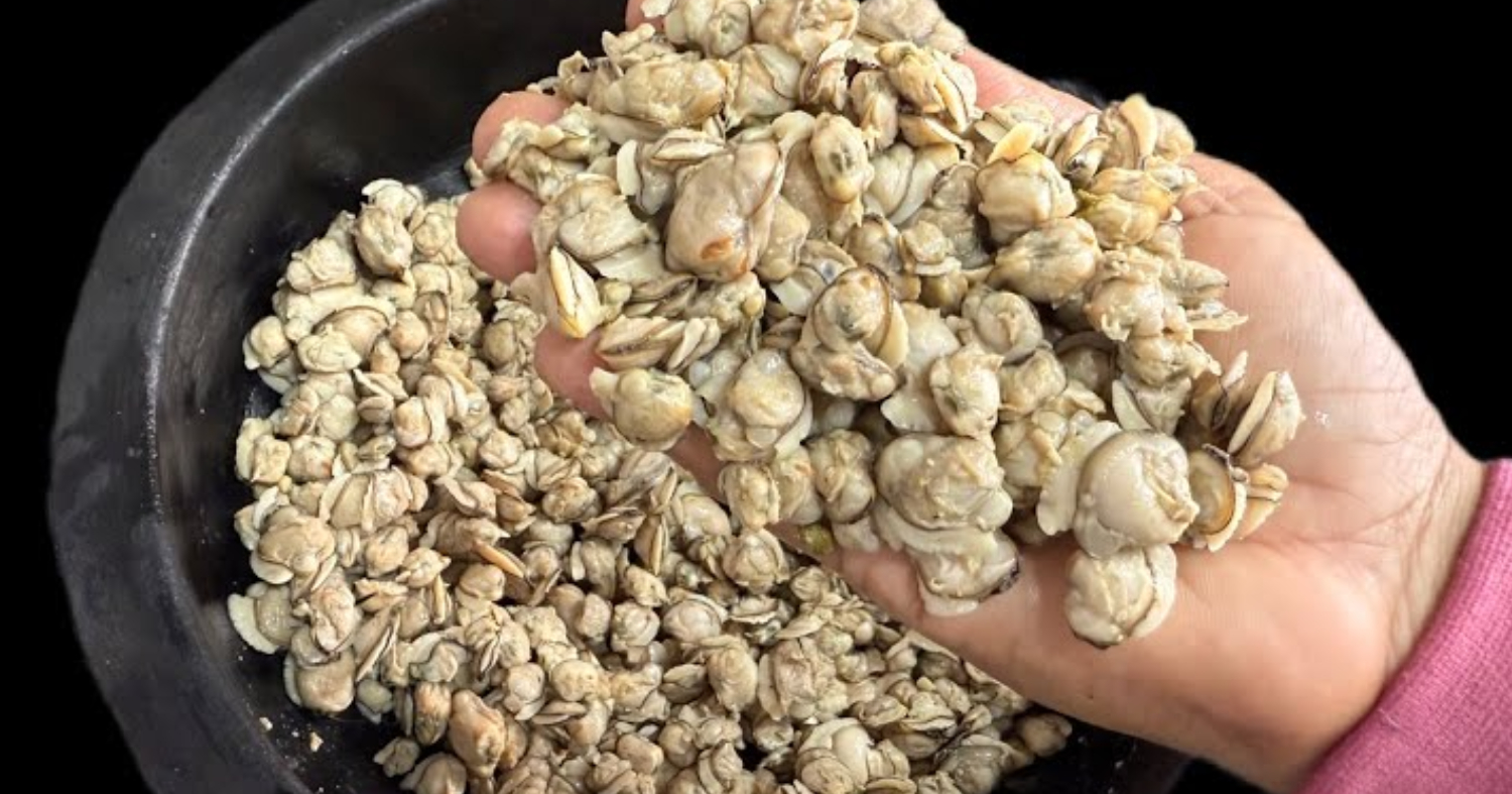 How To Clean Clams Easily