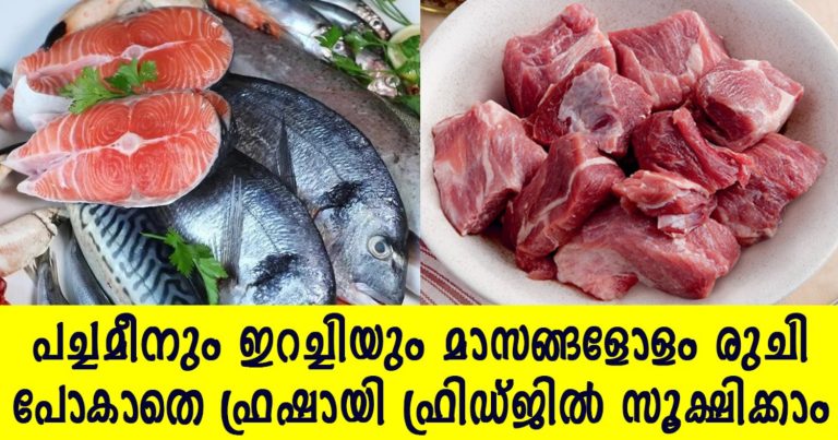 How To Store Fish and Meat in Fridge