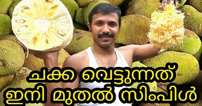 Jack Fruit Cutting Easy Trick