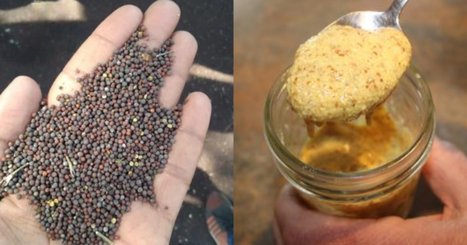 Benefits Of Mustard Seed