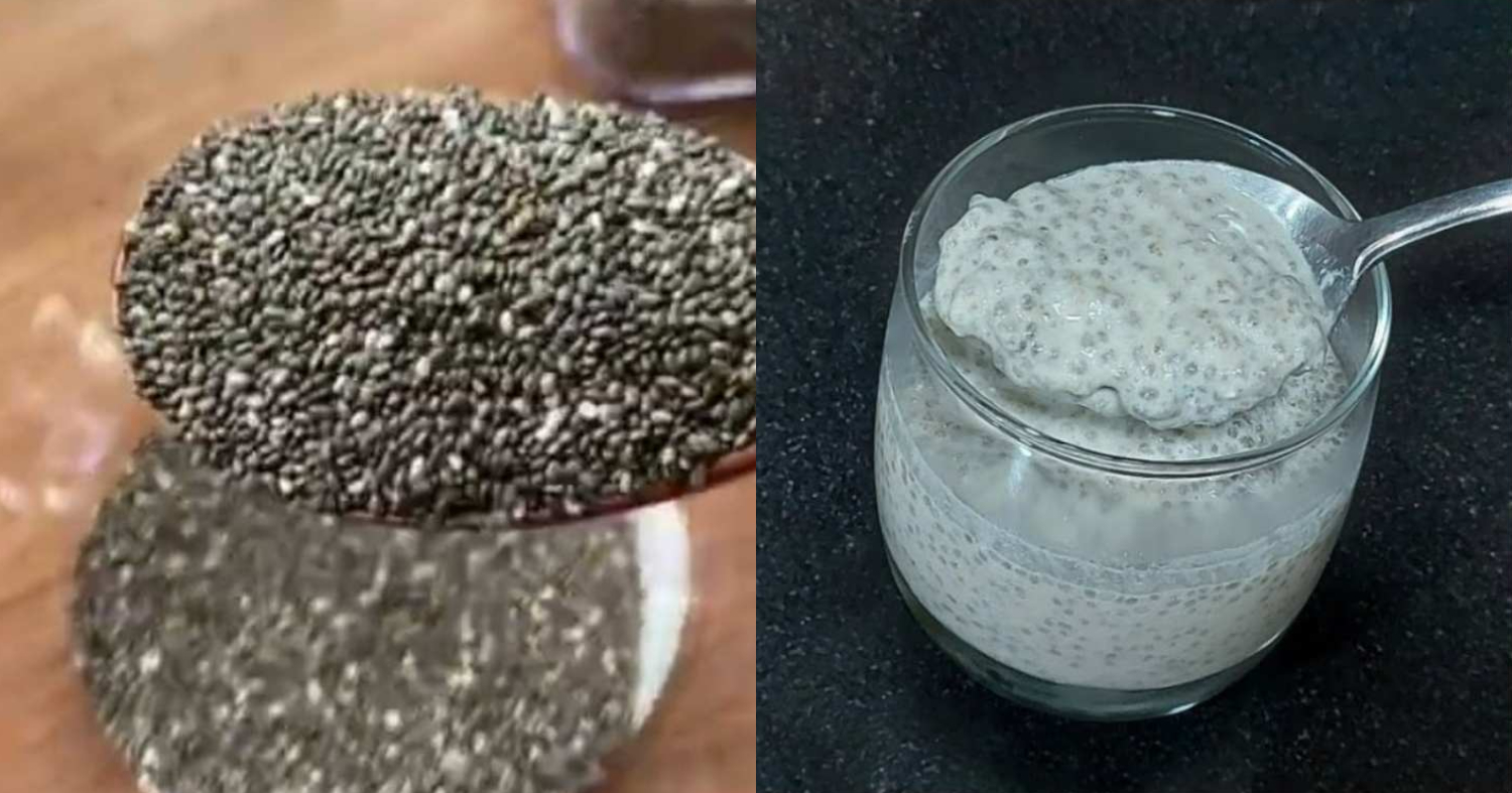 Chia Seeds Benefits