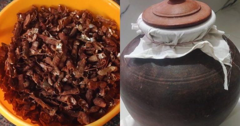 Easy Trick To Store Imli For Long