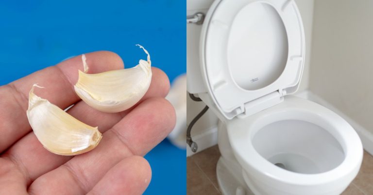 Garlic Tip To Clean Toilet