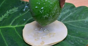 Health Benefits Of Papaya