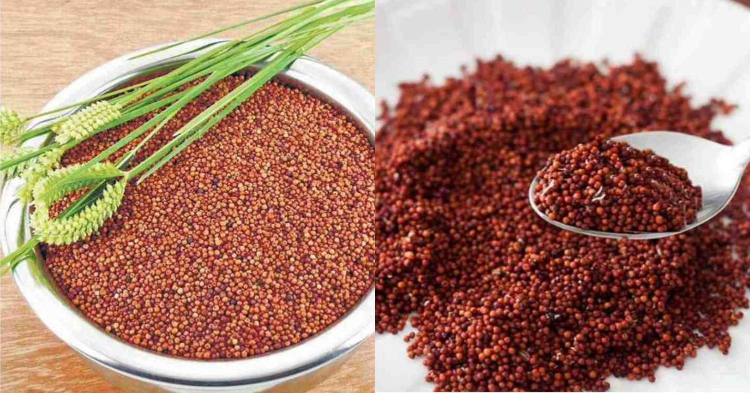 Ragi Benefits