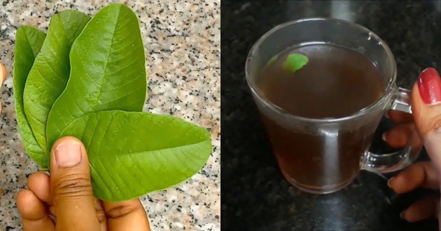 Tip To Reduce Fever Using Guava Leaf