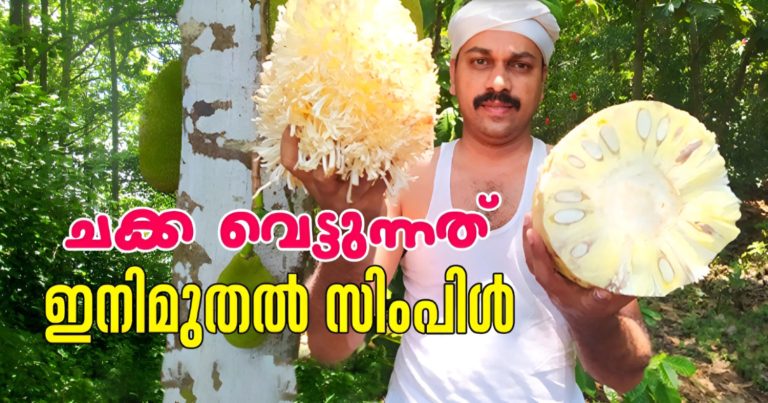 Jack fruit Cutting Simple Tip