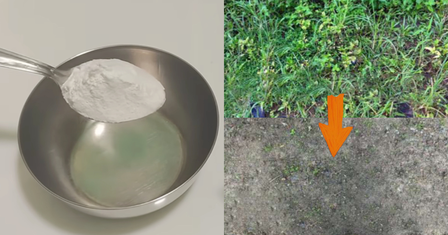 Remove Weeds Using Rice Flour