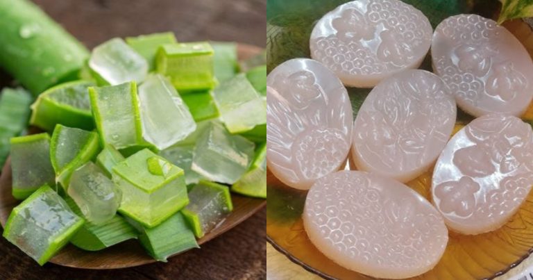 Aloe Vera Soap Recipe