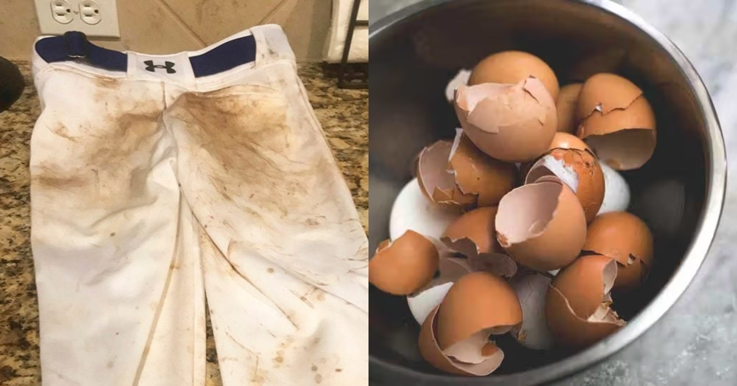 Cleaning Tips Using Egg Shell