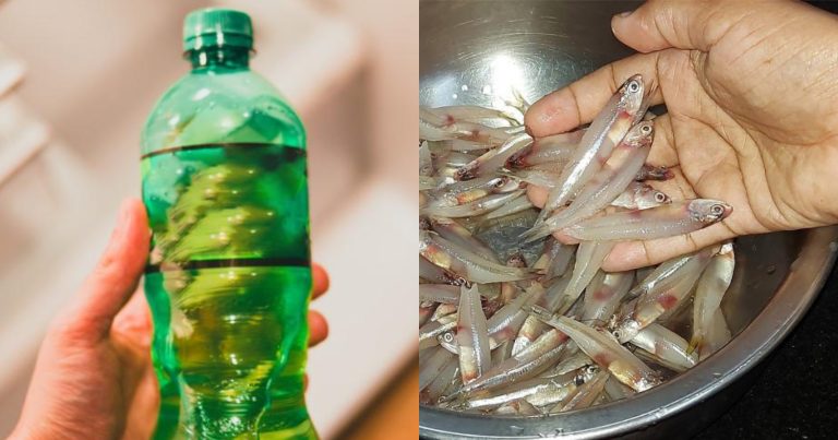 Easy Fish Cleaning Trick