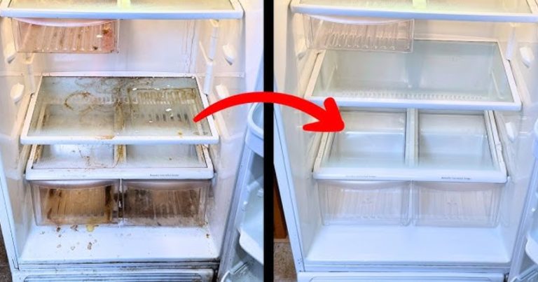 Easy Tip To Clean Fridge
