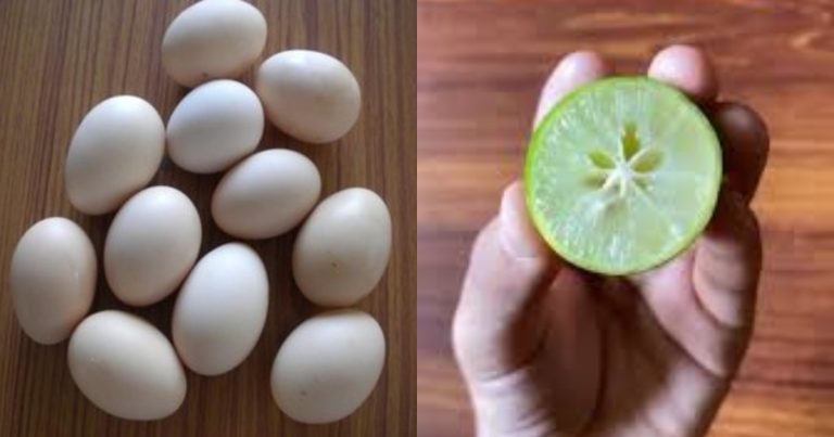 How To Check Edible Egg