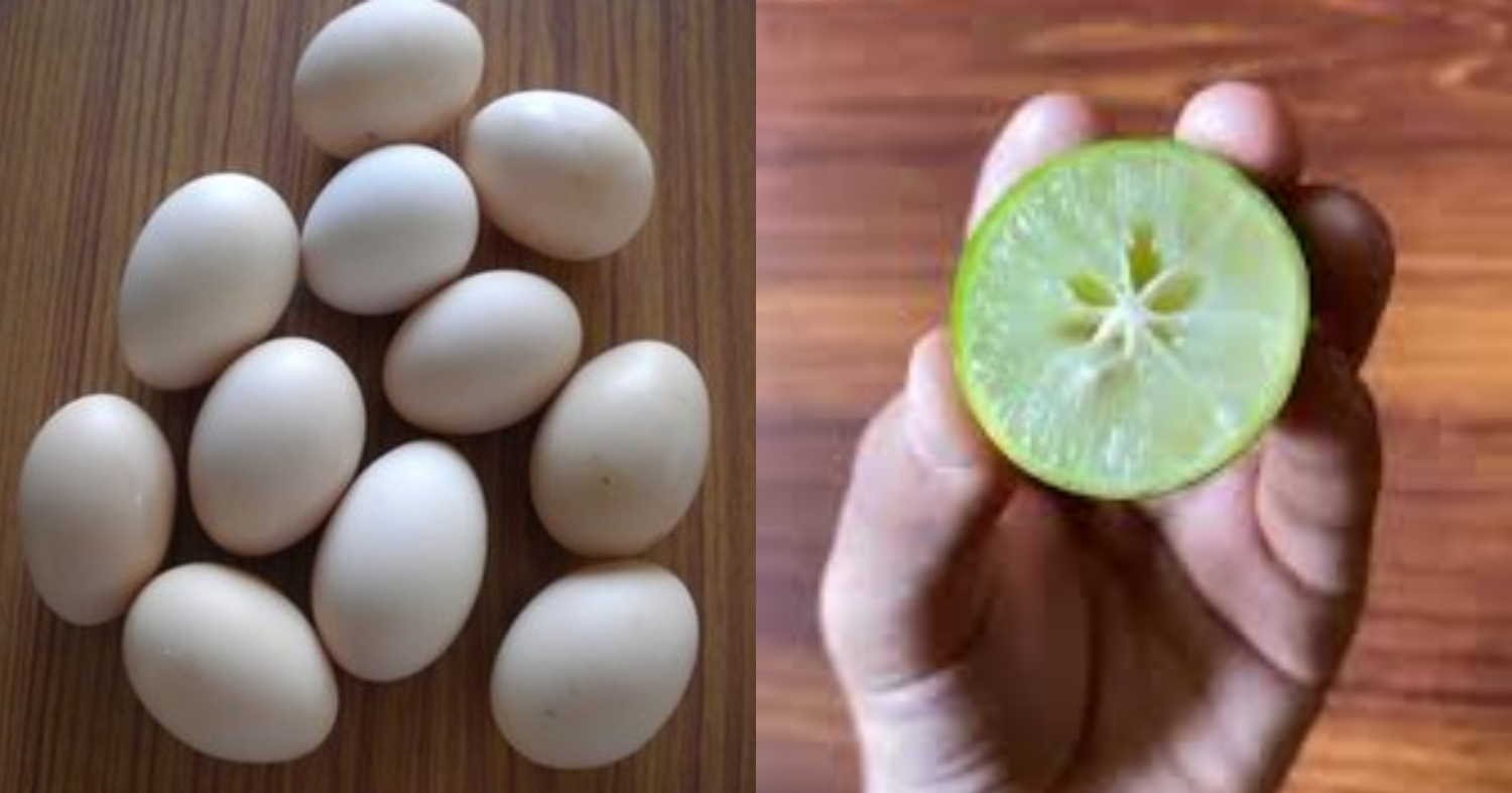 How To Check Edible Egg