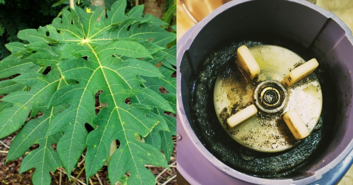 How To Clean Mixie Jar Easily