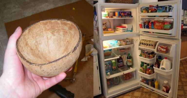 How To Reduce Electricity Bill Using Coconut Shell