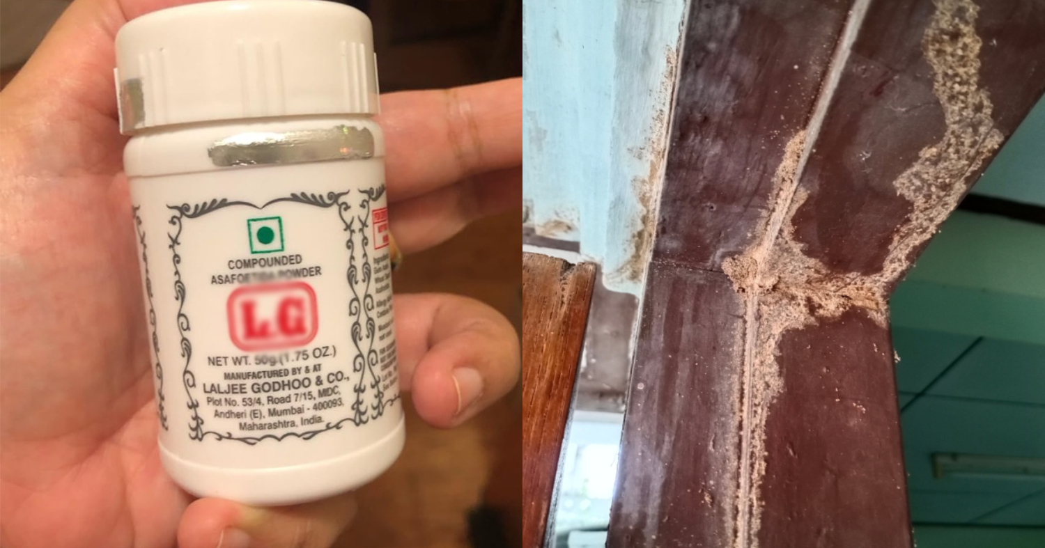 How To Remove Termite Easily