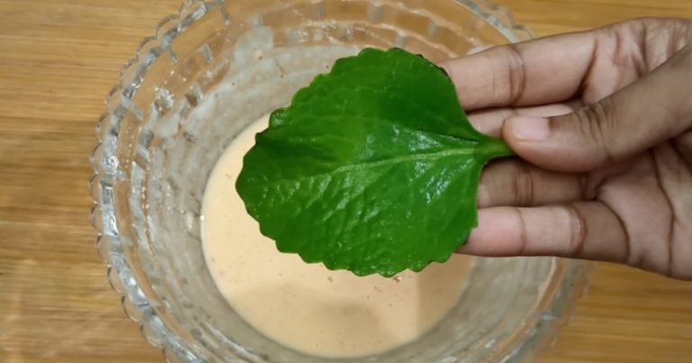 Panikoorkka Leaves Snack Recipe
