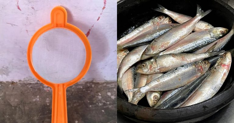 Sardine Fish Cleaning Easy Tricks