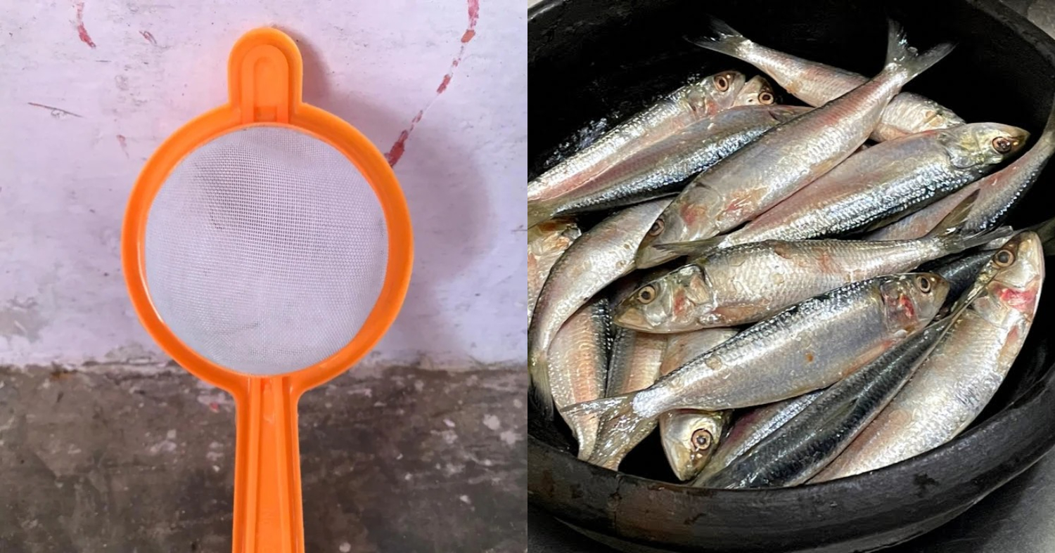 Sardine Fish Cleaning Easy Tricks
