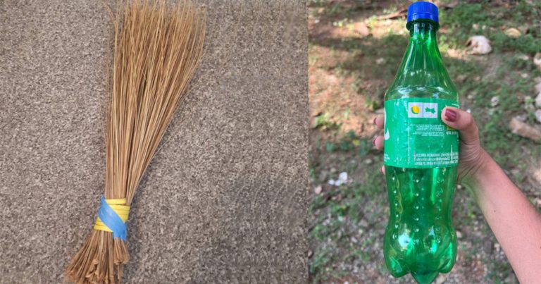 Dried Leaves Cleaning Easy Trick