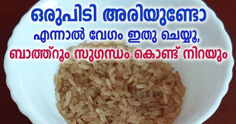 Easy Trick Remove Bathroom Bad Smell