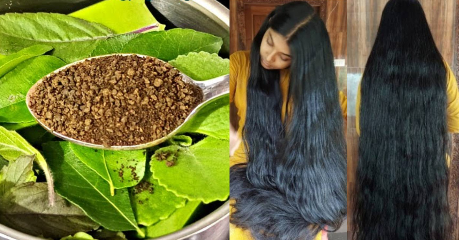 Fast Hair Growth And Dandruff Control Trick