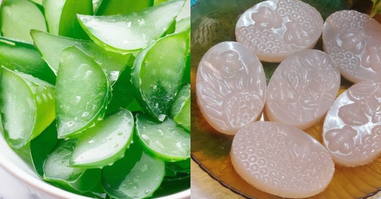 Homemade Aloe Vera Soap