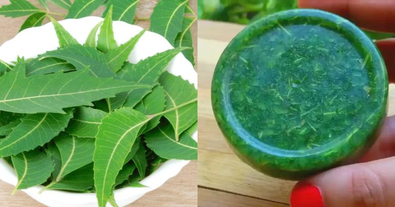 Homemade Neem Soap