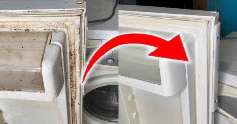 How To Clean Fridge Easily