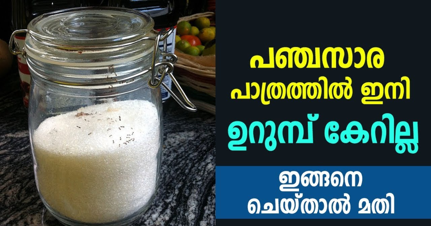 How To Get Away Ants From Sugar Bottle