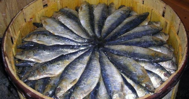 Perfect Dry Fish Recipe