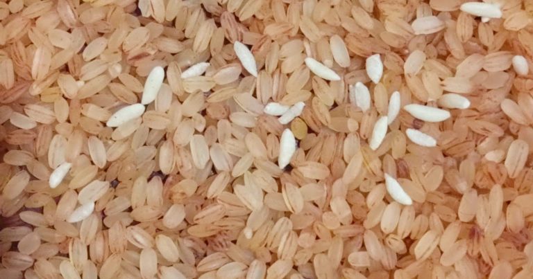 What Is Ration Fortified Rice