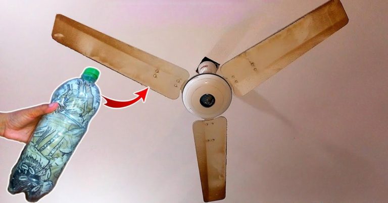 Easy Fan Cleaning Tips