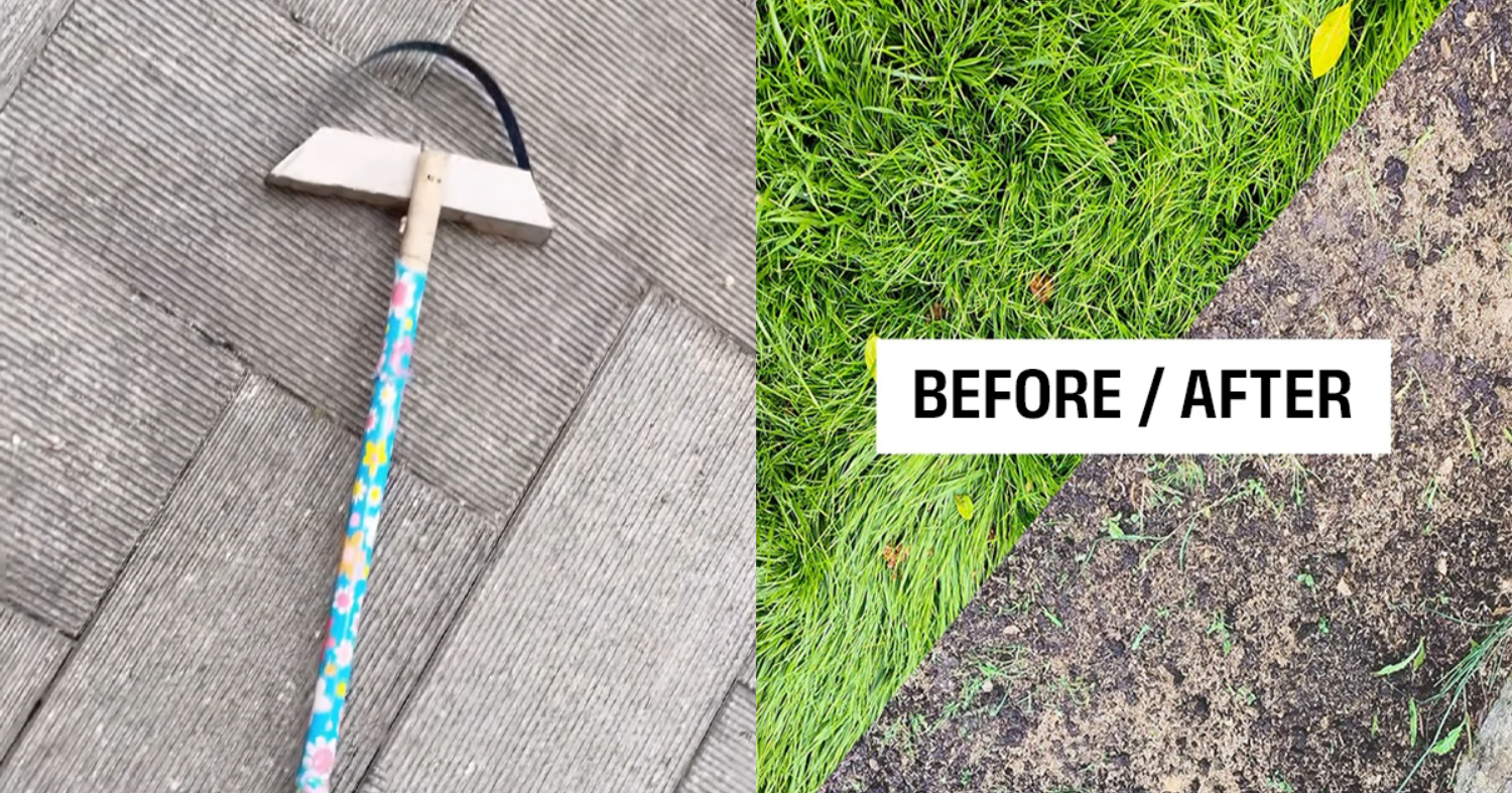 Grass Removing Ideas