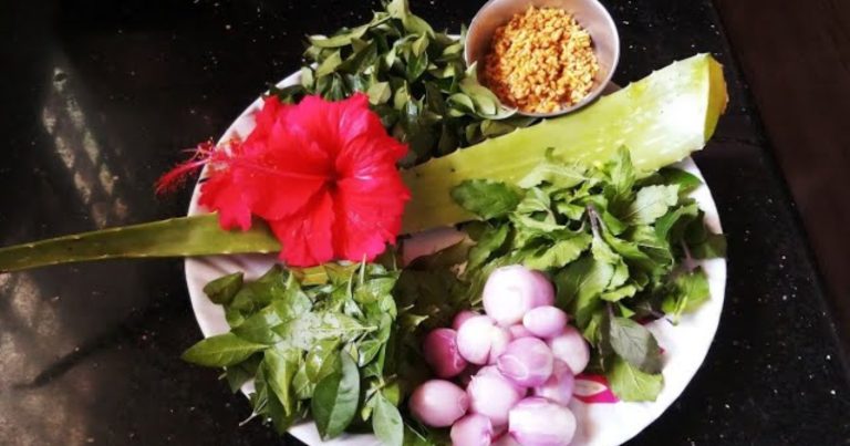 Herbal Hair Oil For Faster Hair Growth