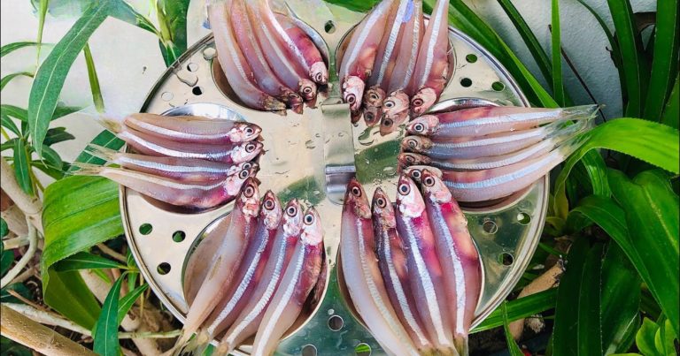 How To Clean Nethili Fish Easily