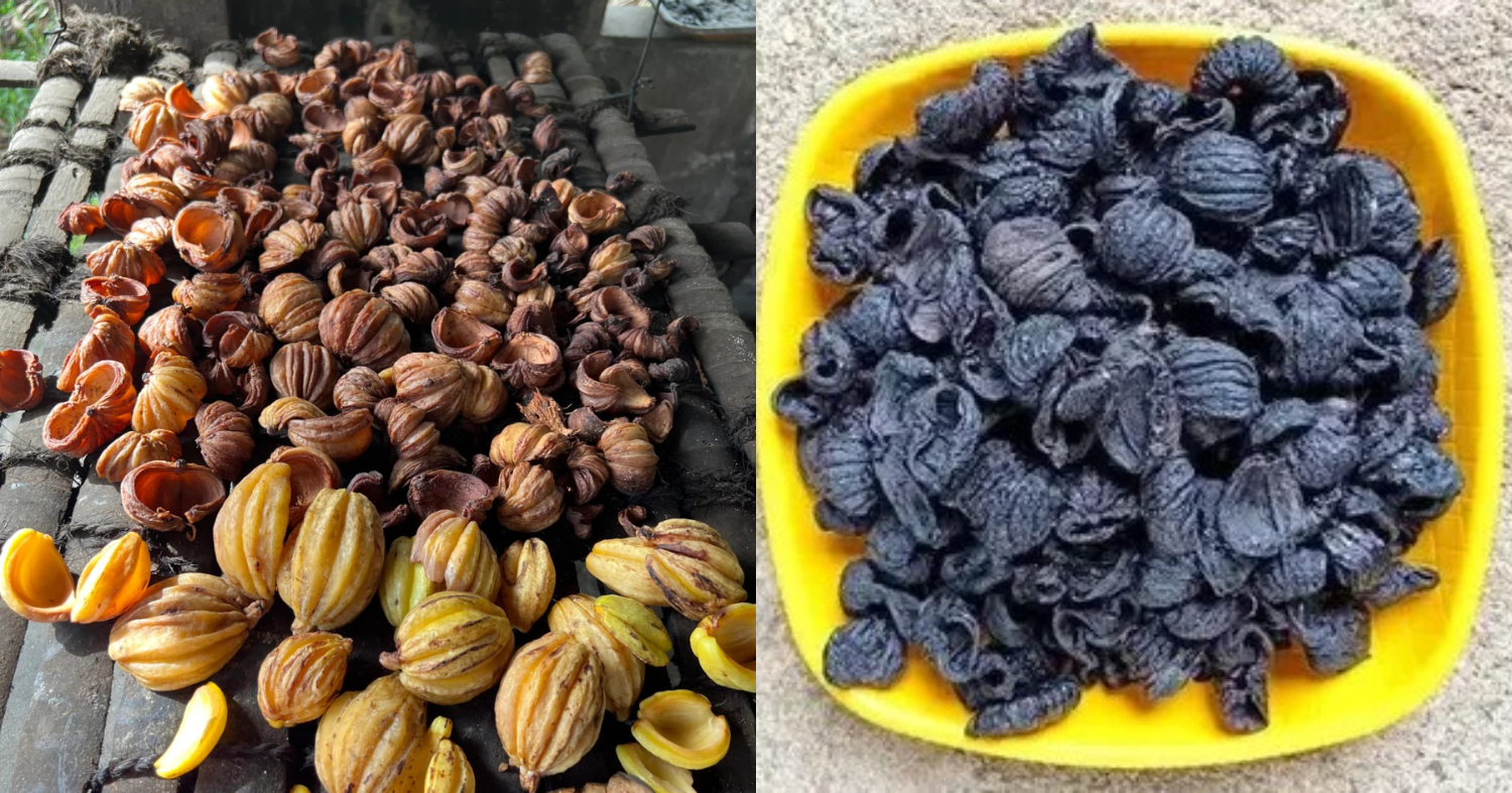 How To Preserve Dried Kudampuli For Long Term Use