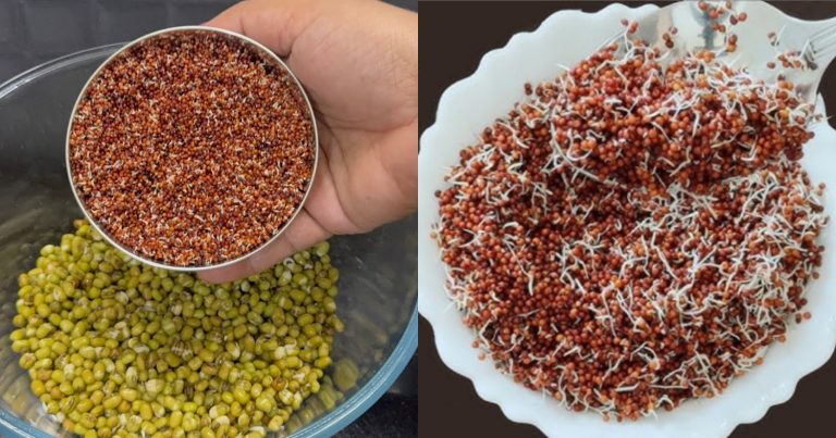 Ragi Cherupayar Mulapichath Health Benefits