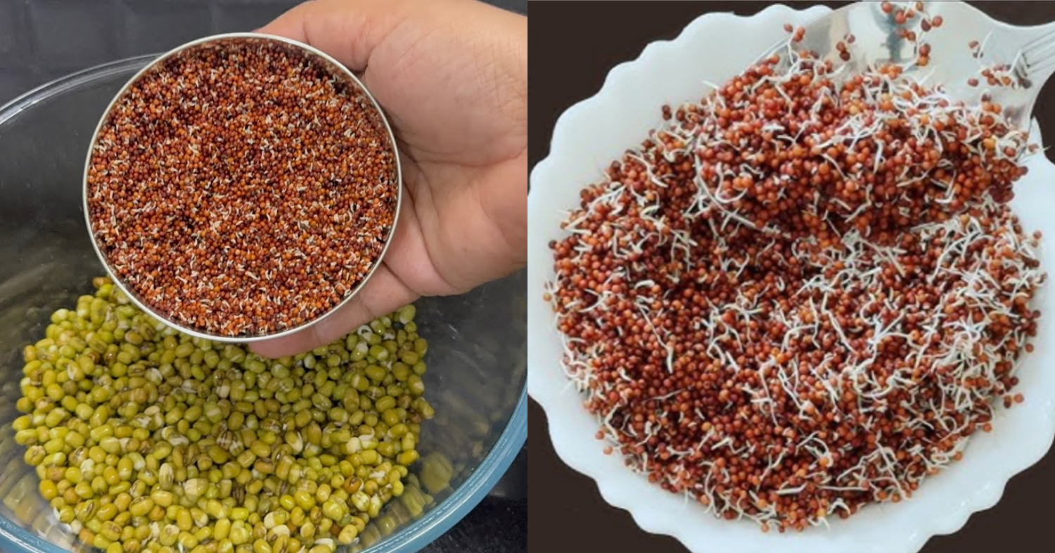 Ragi Cherupayar Mulapichath Health Benefits