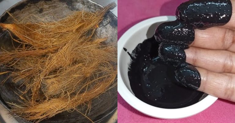 Natural Hair Dye Using Coir Fiber