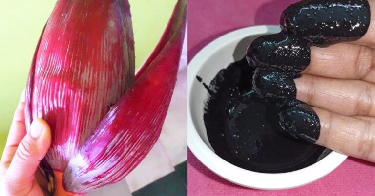 Banana Flower Natural Hair Dye