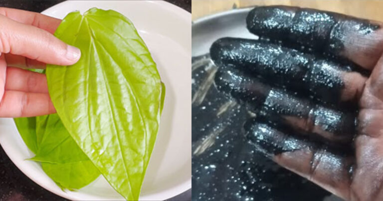 Betel Leaves Natural Hair Dye