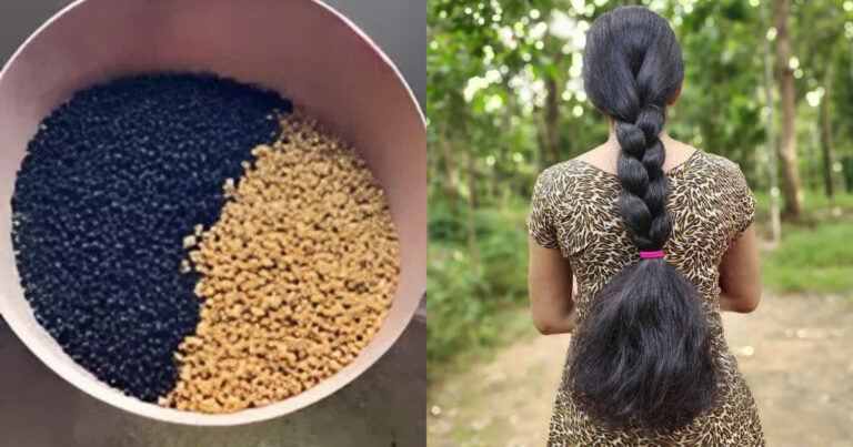 Hair Growth Oil Using Fenugreek